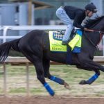 Preakness Stakes: Early favorite, Rodriguez, out of race with an injury