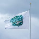 When is the 2025 Belmont Stakes?