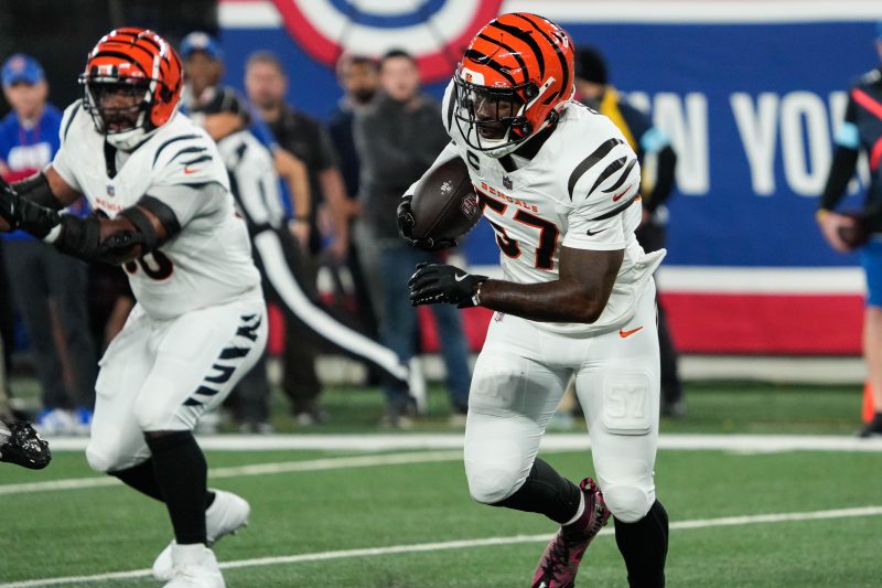 Las Vegas Raiders sign another free agent LB