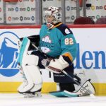 Brawl erupts at PWHL game in DC as record-breaking crowd cheers on